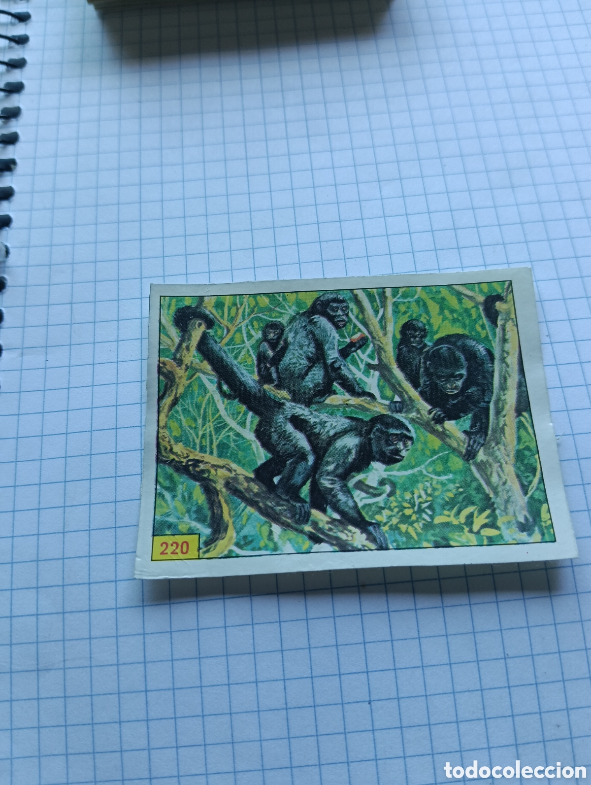 Collectionnisme Cartes &agrave; collectionner anciennes: Cromo 220 Mam&iacute;feros 1984 Panini Recuperado