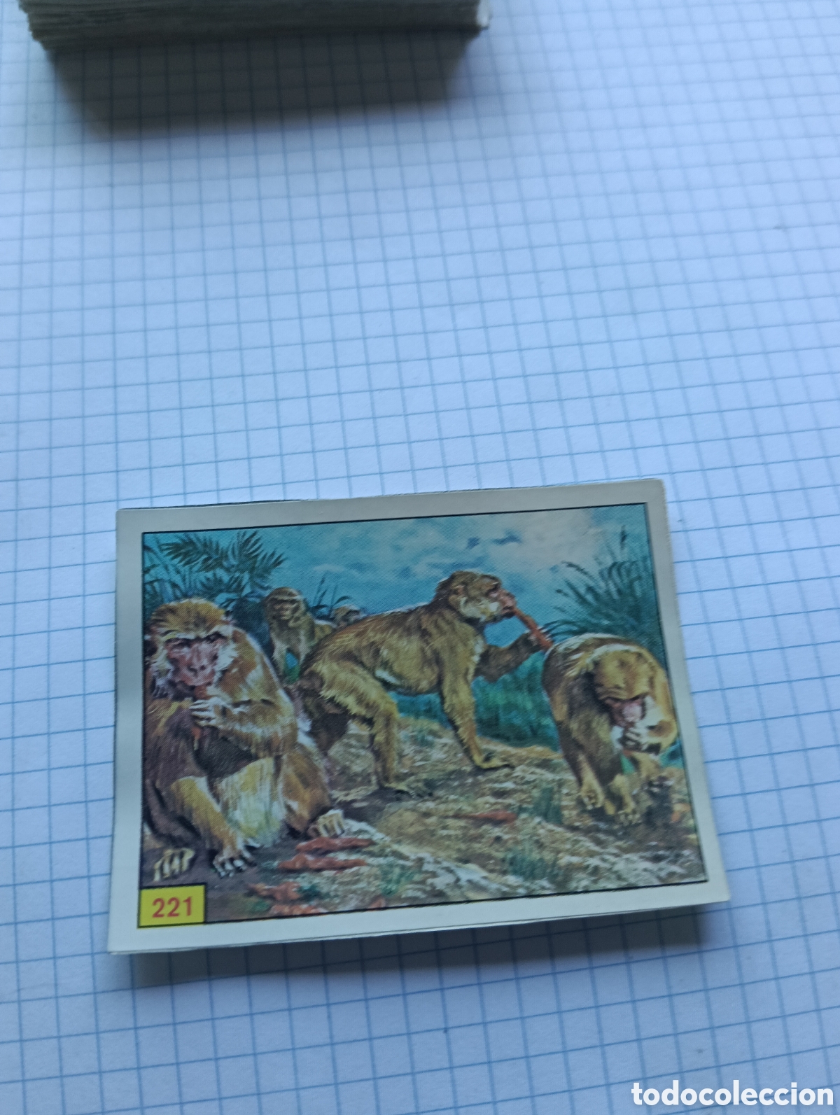 Coleccionismo Cromos antiguos: Cromo 221 Mam&iacute;feros 1984 Panini Recuperado