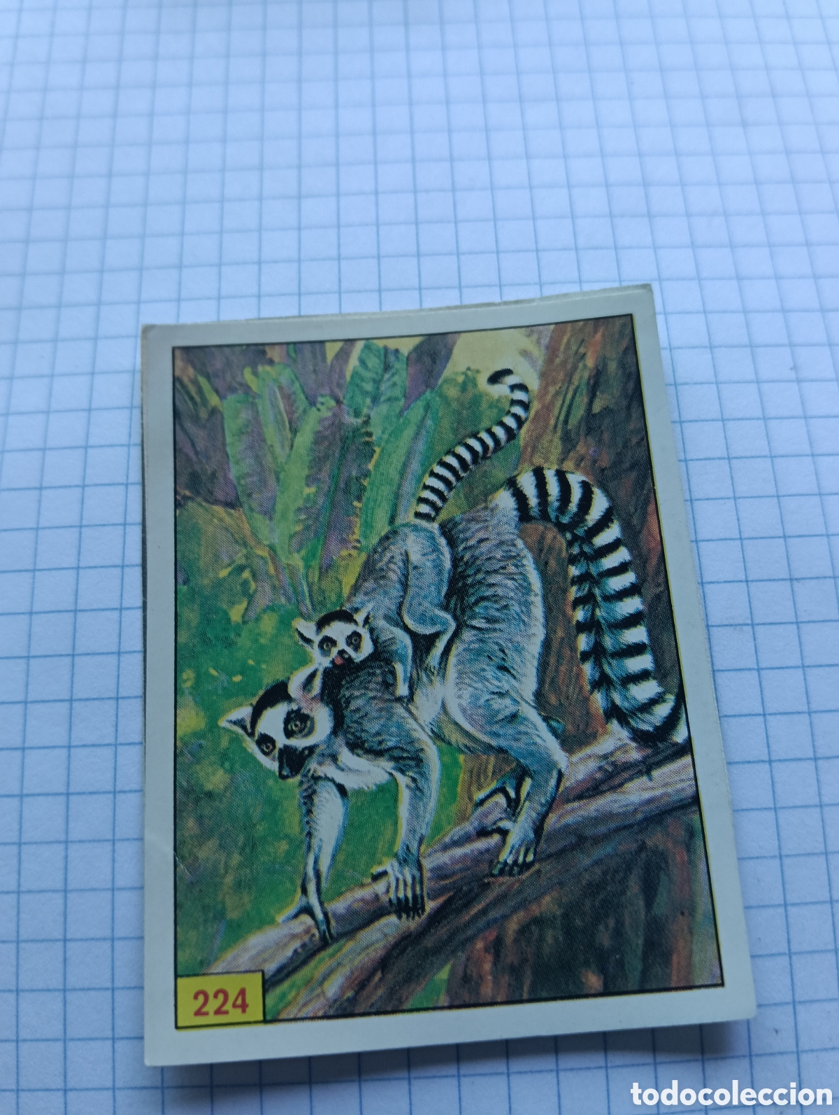 Coleccionismo Cromos antiguos: Cromo 224 Mam&iacute;feros 1984 Panini Recuperado