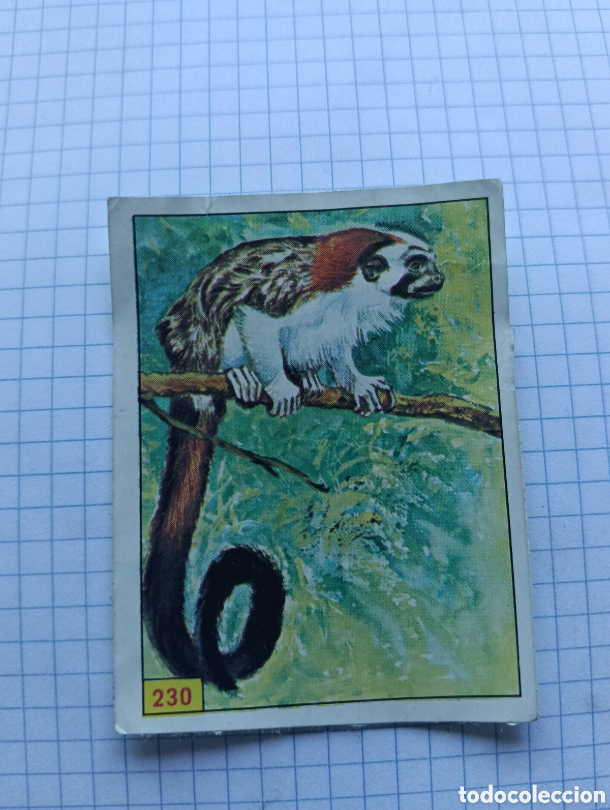 Coleccionismo Cromos antiguos: Cromo 230 Mam&iacute;feros 1984 Panini Recuperado