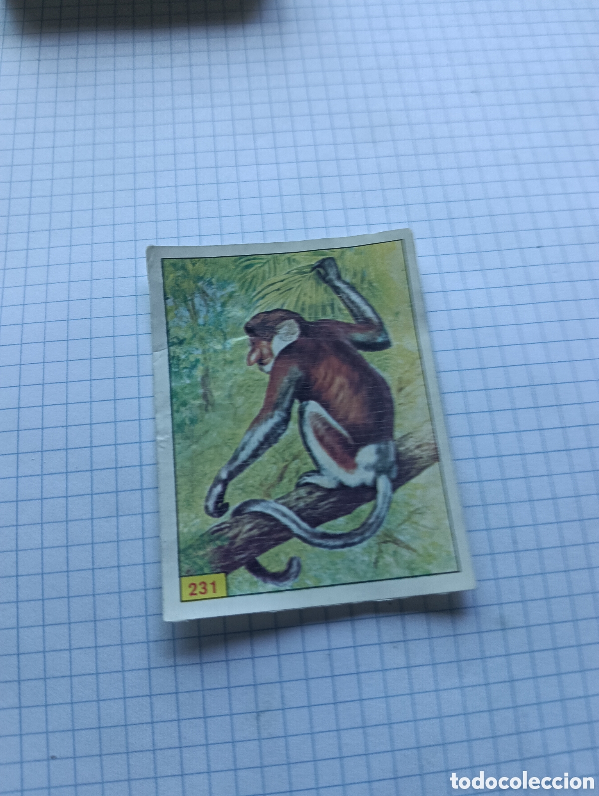 Coleccionismo Cromos antiguos: Cromo 231 Mam&iacute;feros 1984 Panini Recuperado