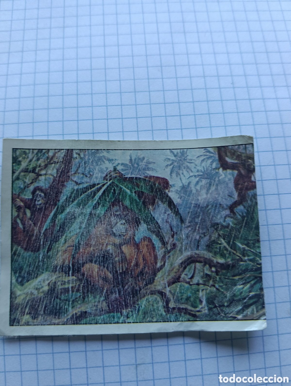 Coleccionismo Cromos antiguos: Cromo 232 Mam&iacute;feros 1984 Panini Recuperado