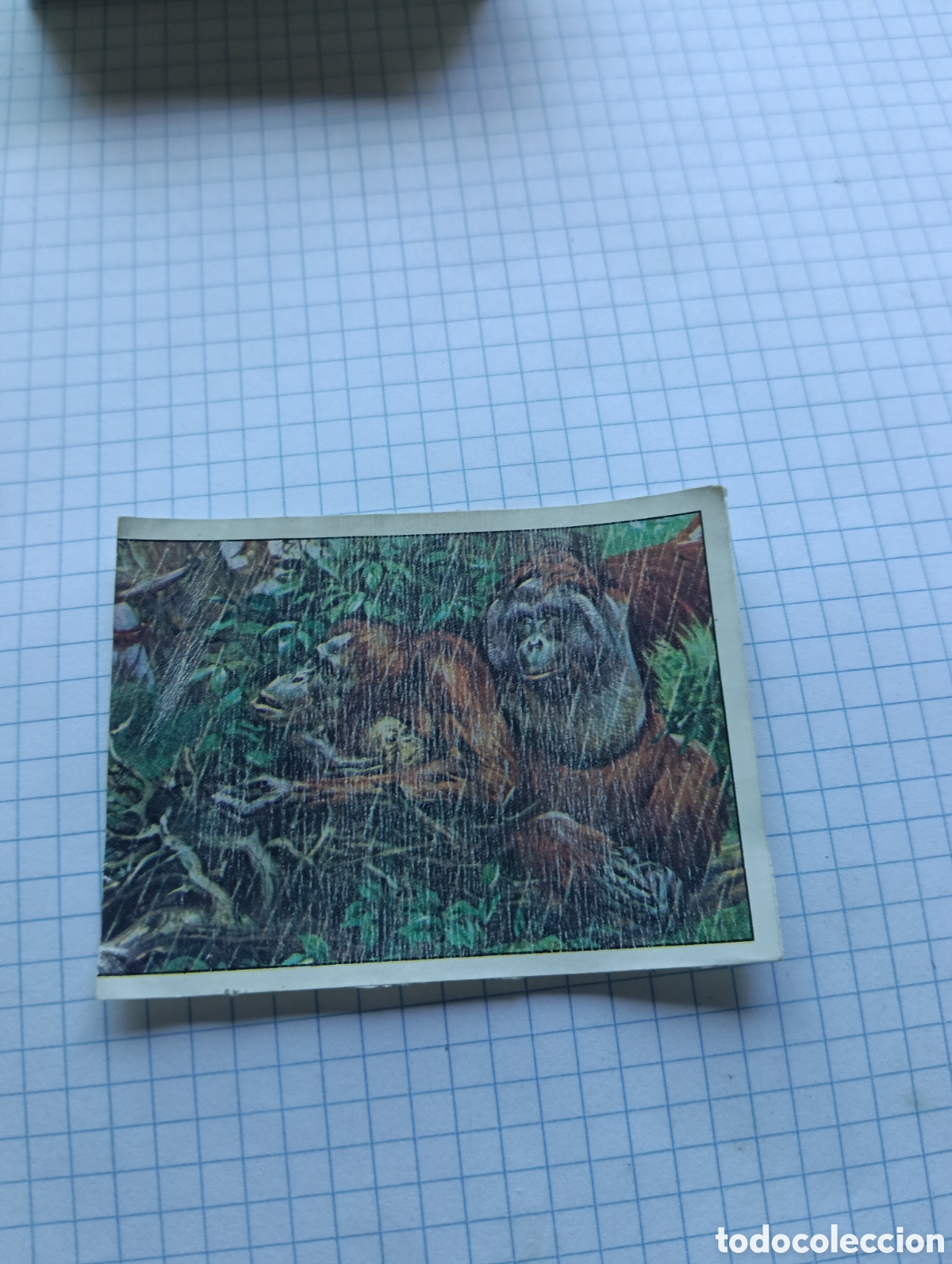 Coleccionismo Cromos antiguos: Cromo 233 Mam&iacute;feros 1984 Panini Recuperado