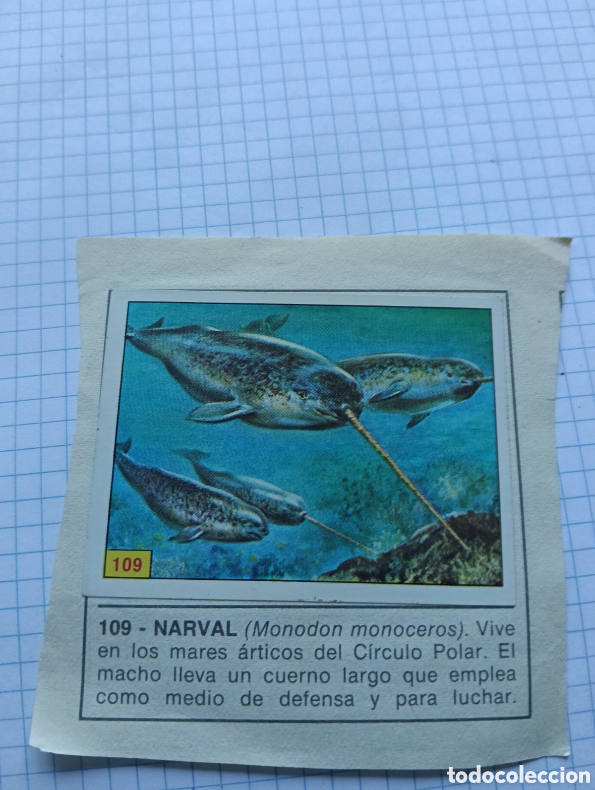 Coleccionismo Cromos antiguos: Cromos 109 y 100 Mam&iacute;feros 1984 Panini Recuperado