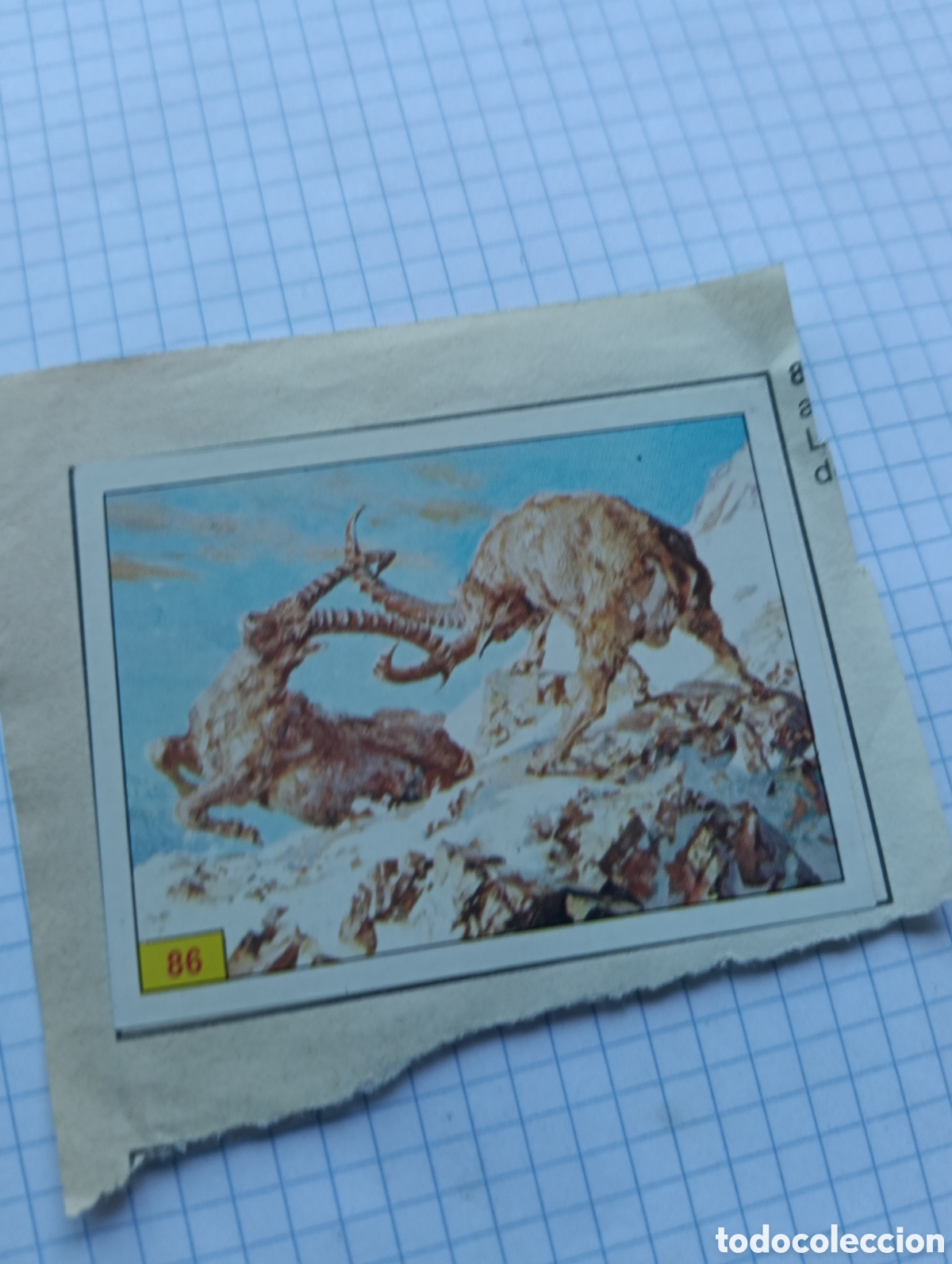 Coleccionismo Cromos antiguos: Cromo 86 y 97 Mam&iacute;feros 1984 Panini Recuperado