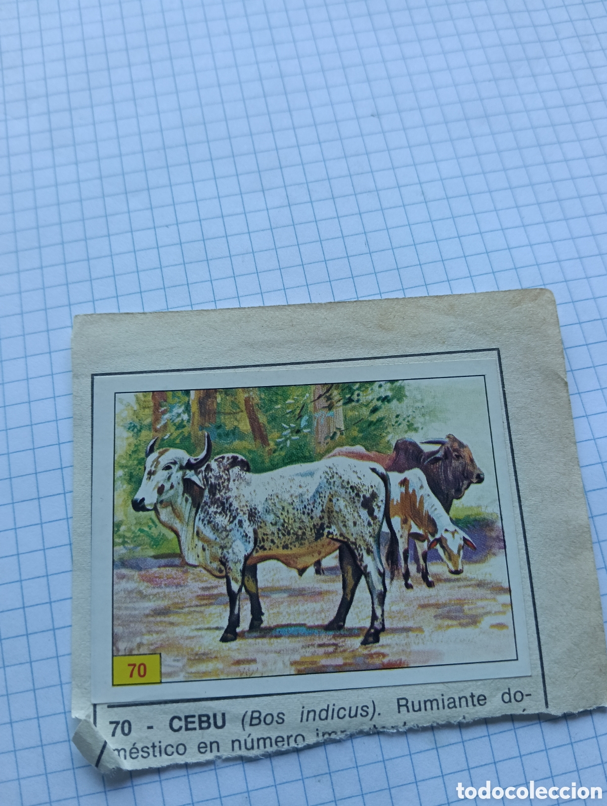 Coleccionismo Cromos antiguos: Cromos 70 y 77 Mam&iacute;feros 1984 Panini Recuperado