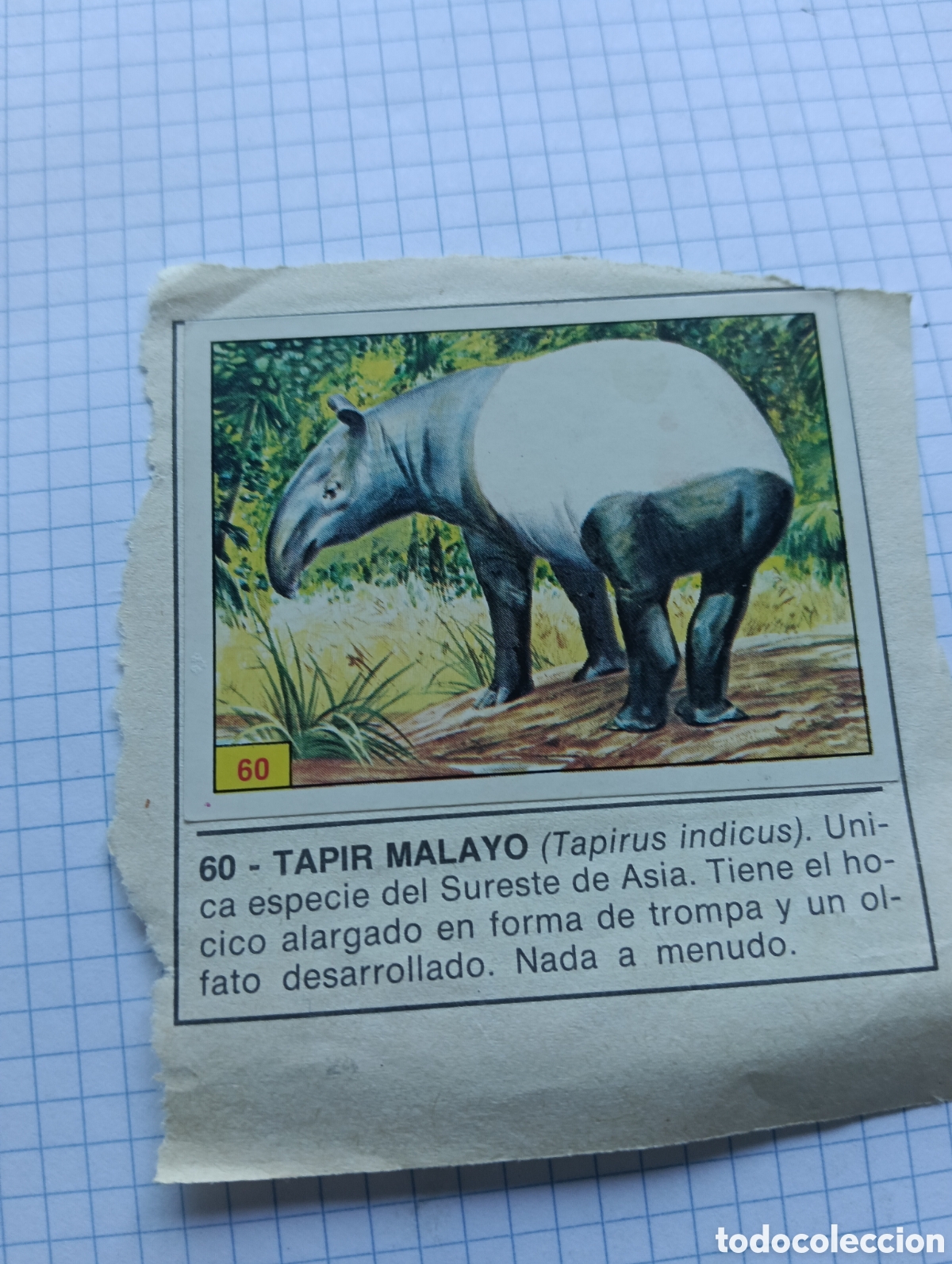 Coleccionismo Cromos antiguos: Cromos 60 y 66 Mam&iacute;feros 1984 Panini Recuperado
