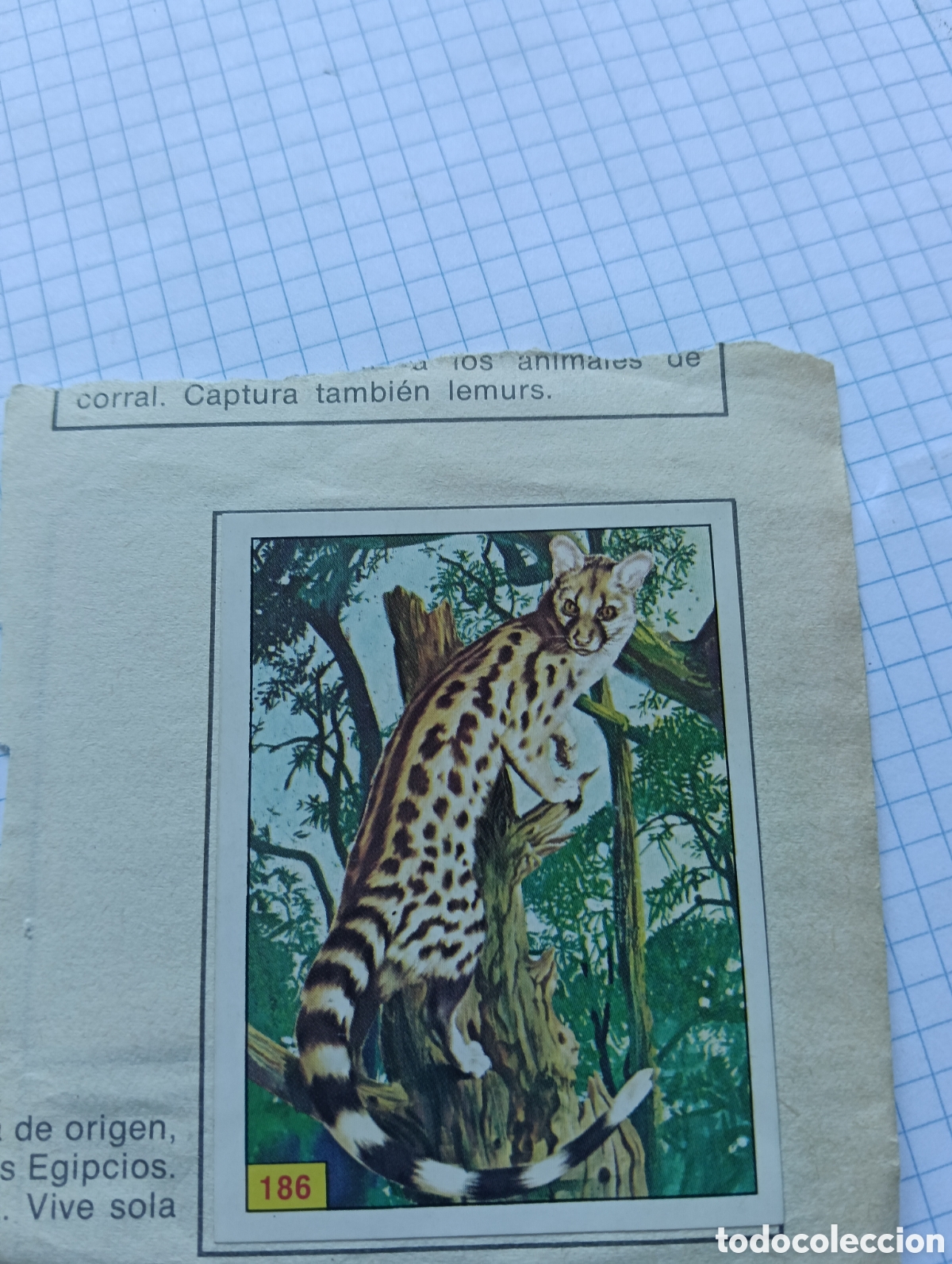 Collezionismo Figurine antiche: Cromos 186 y 193 Mam&iacute;feros 1984 Panini Recuperado