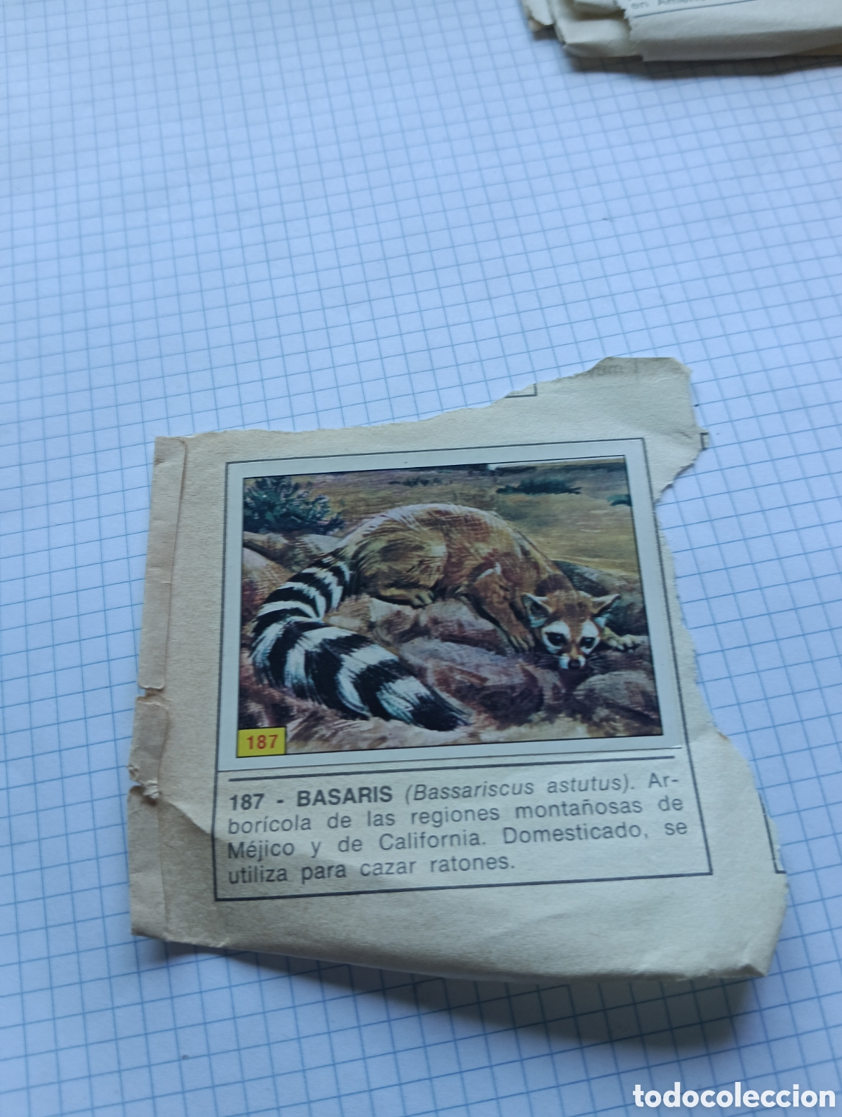 Collezionismo Figurine antiche: Cromo 187 y 198 Mam&iacute;feros 1984 Panini Recuperado