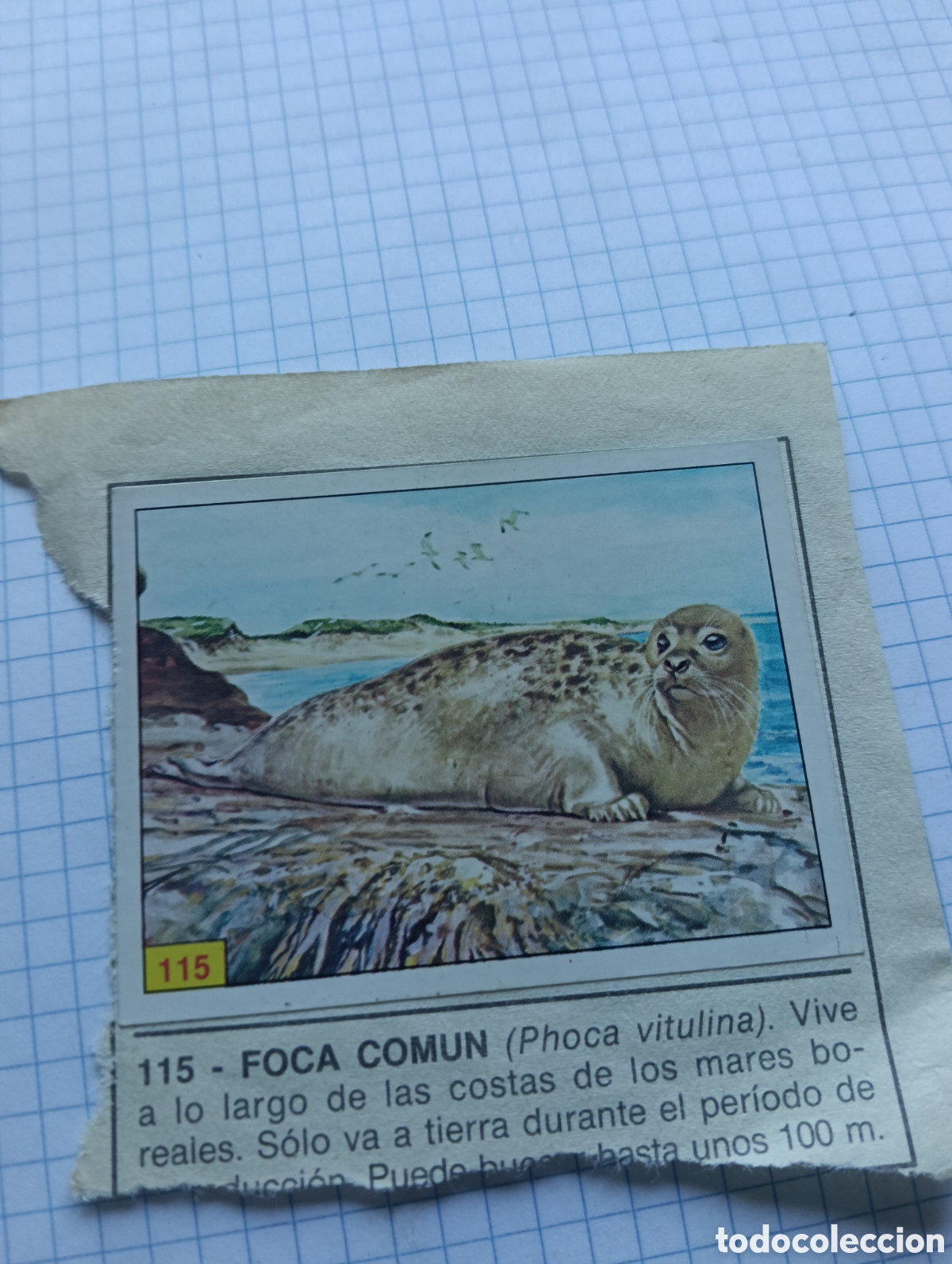 Collezionismo Figurine antiche: Cromo 115 y 122 Mam&iacute;feros 1984 Panini Recuperado