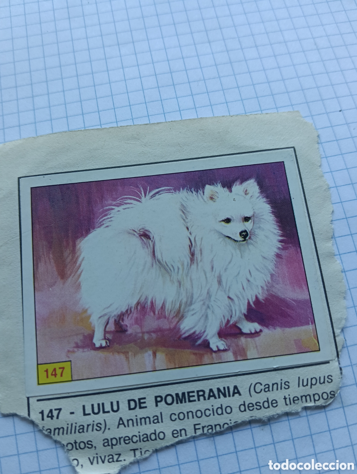 Collezionismo Figurine antiche: Cromo 147 y 156 Mam&iacute;feros 1984 Panini Recuperado