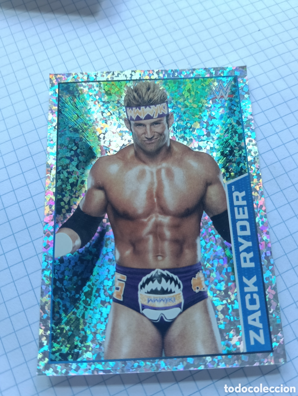 Coleccionismo Cromos antiguos: Cromo 173 Topps 2015 Presing catch WWE