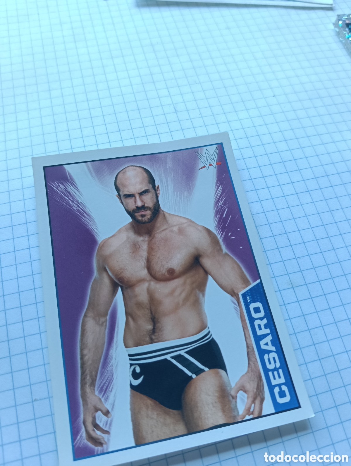 Coleccionismo Cromos antiguos: Cromo 17 Topps 2015 Presing catch WWE