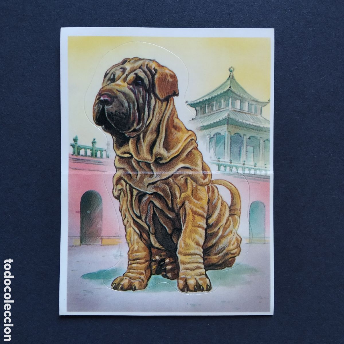 Coleccionismo Cromos antiguos: CROMO - N&deg; 14 - SHAR-PEI - TU MEJOR AMIGO - A&Ntilde;O 1994 - BOLLYCAO