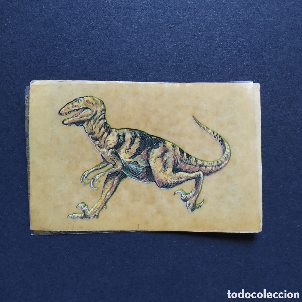 Sammeln alte Sammelbilder: CROMO - N&ordm; 43 - DEINONYCHUS - LOS AUT&Eacute;NTICOS CROMOS DE LOS DINOSAURIOS - BOLLYCAO (DESPEGADO)