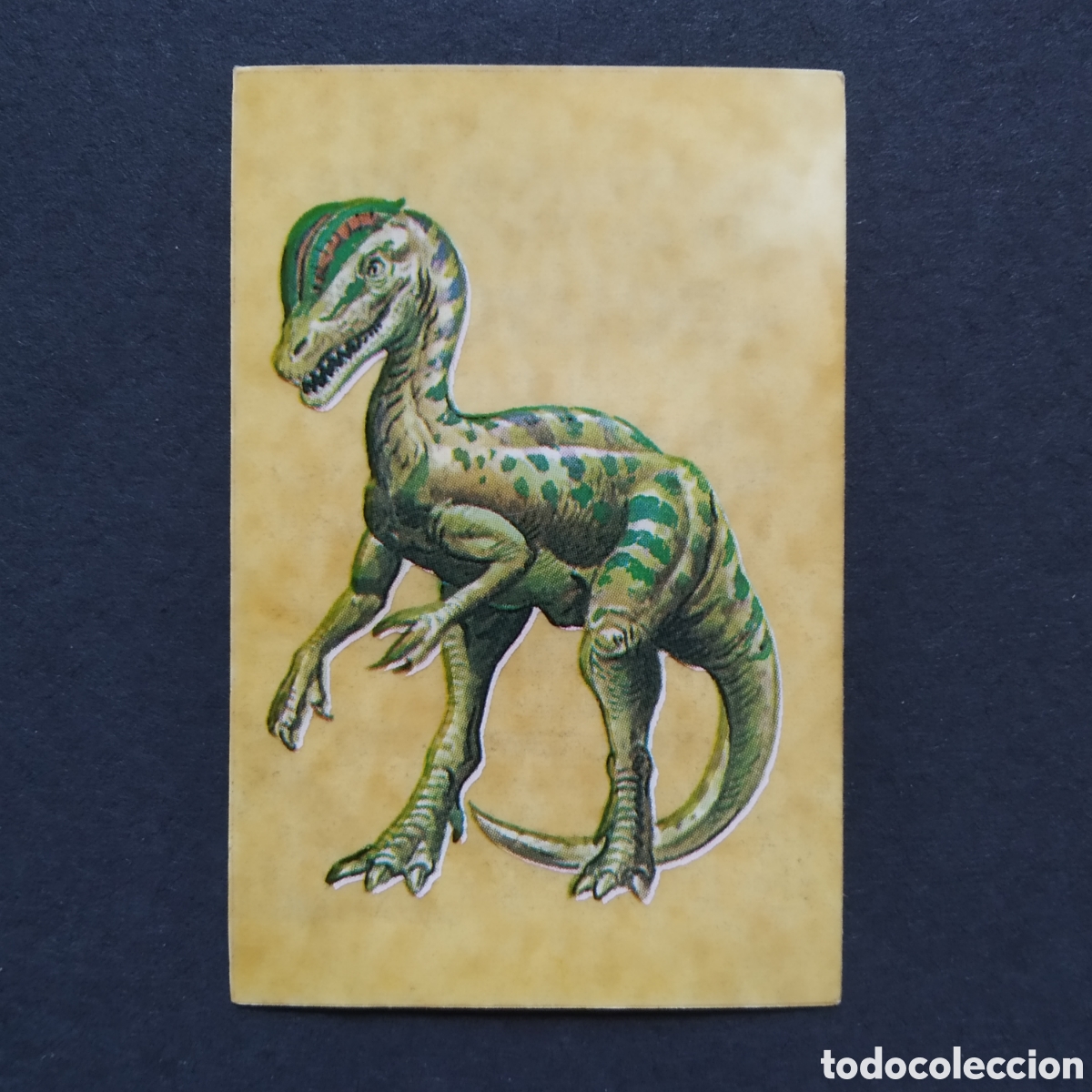 Coleccionismo Cromos antiguos: CROMO - N&ordm; 25 - DILOPHOSAURUS - LOS AUT&Eacute;NTICOS CROMOS DE LOS DINOSAURIOS - BOLLYCAO