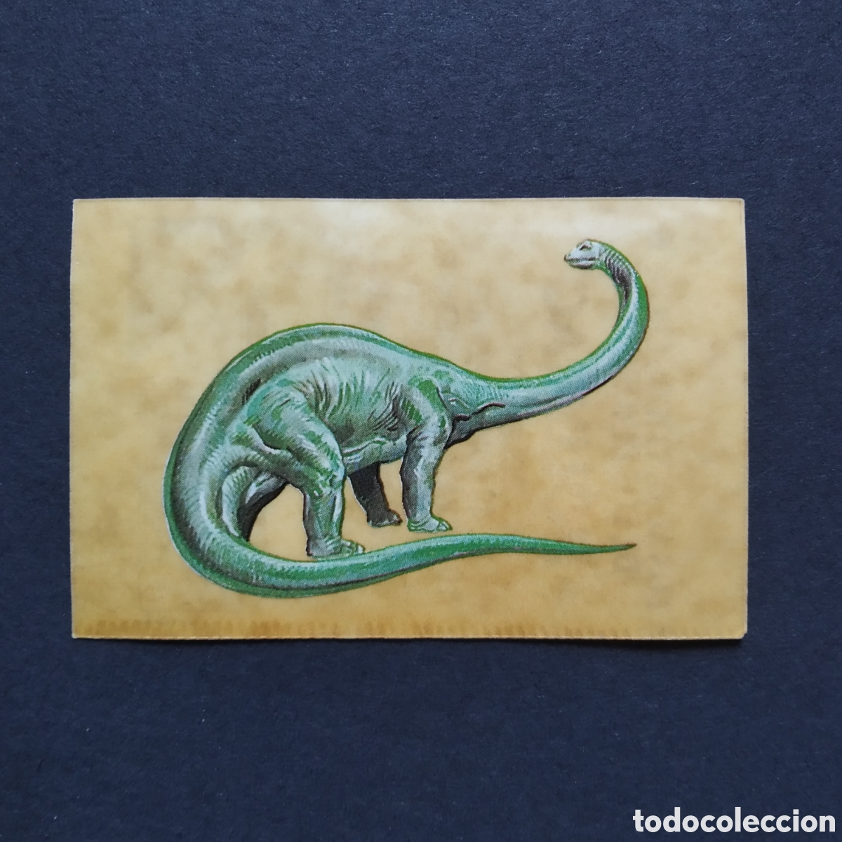 Coleccionismo Cromos antiguos: CROMO - N&ordm; 21 - DIPLODOCUS - LOS AUT&Eacute;NTICOS CROMOS DE LOS DINOSAURIOS - BOLLYCAO