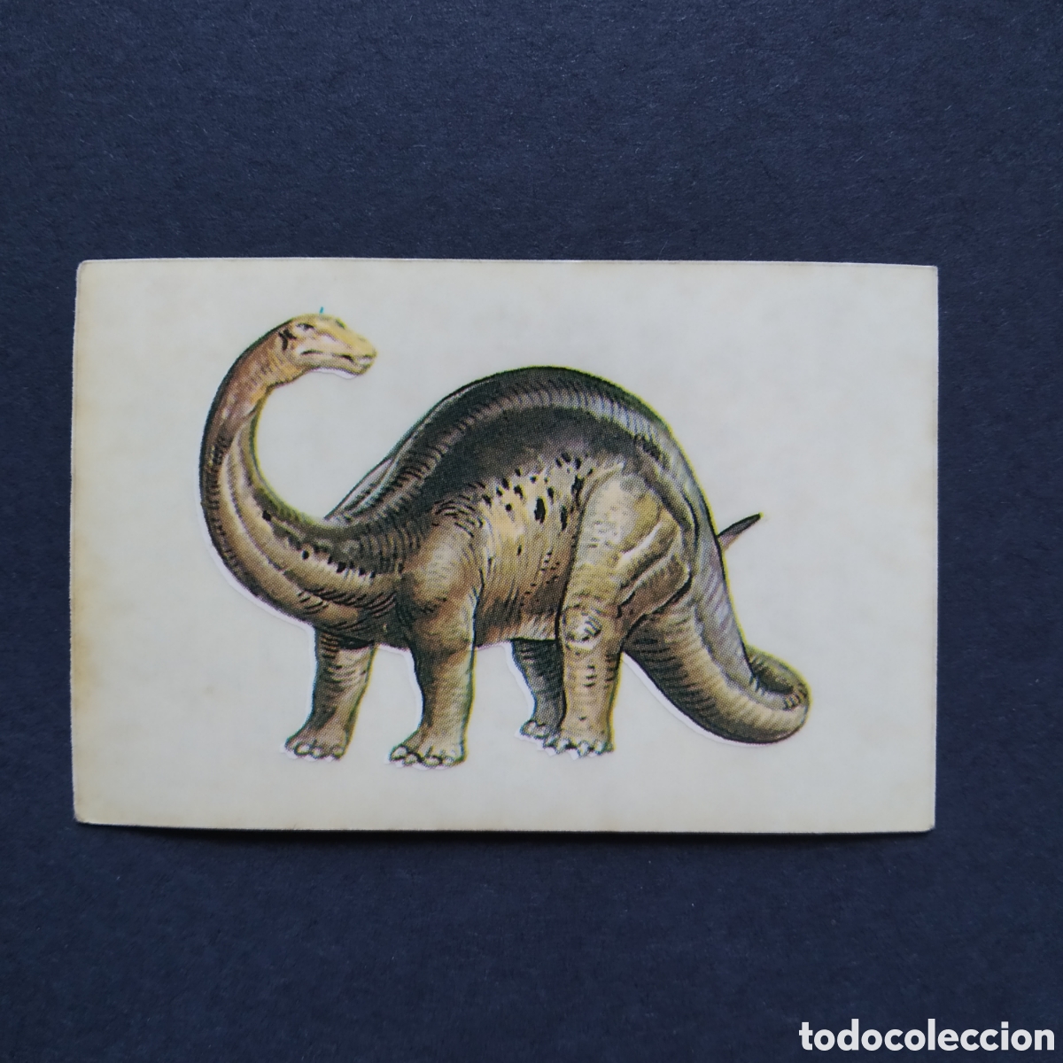 Colecionismo Cromos antigos: CROMO - N&ordm; 17 - APATOSAURUS - LOS AUT&Eacute;NTICOS CROMOS DE LOS DINOSAURIOS - BOLLYCAO