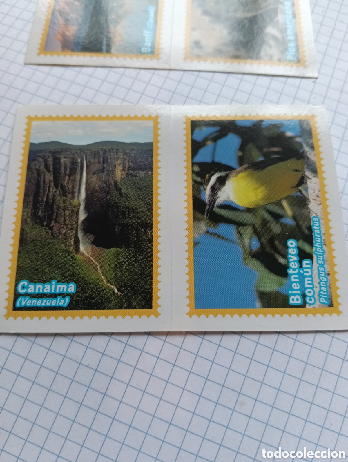 Coleccionismo Cromos antiguos: Cromo 506A El gran Album del mundo animal 2013 Panini