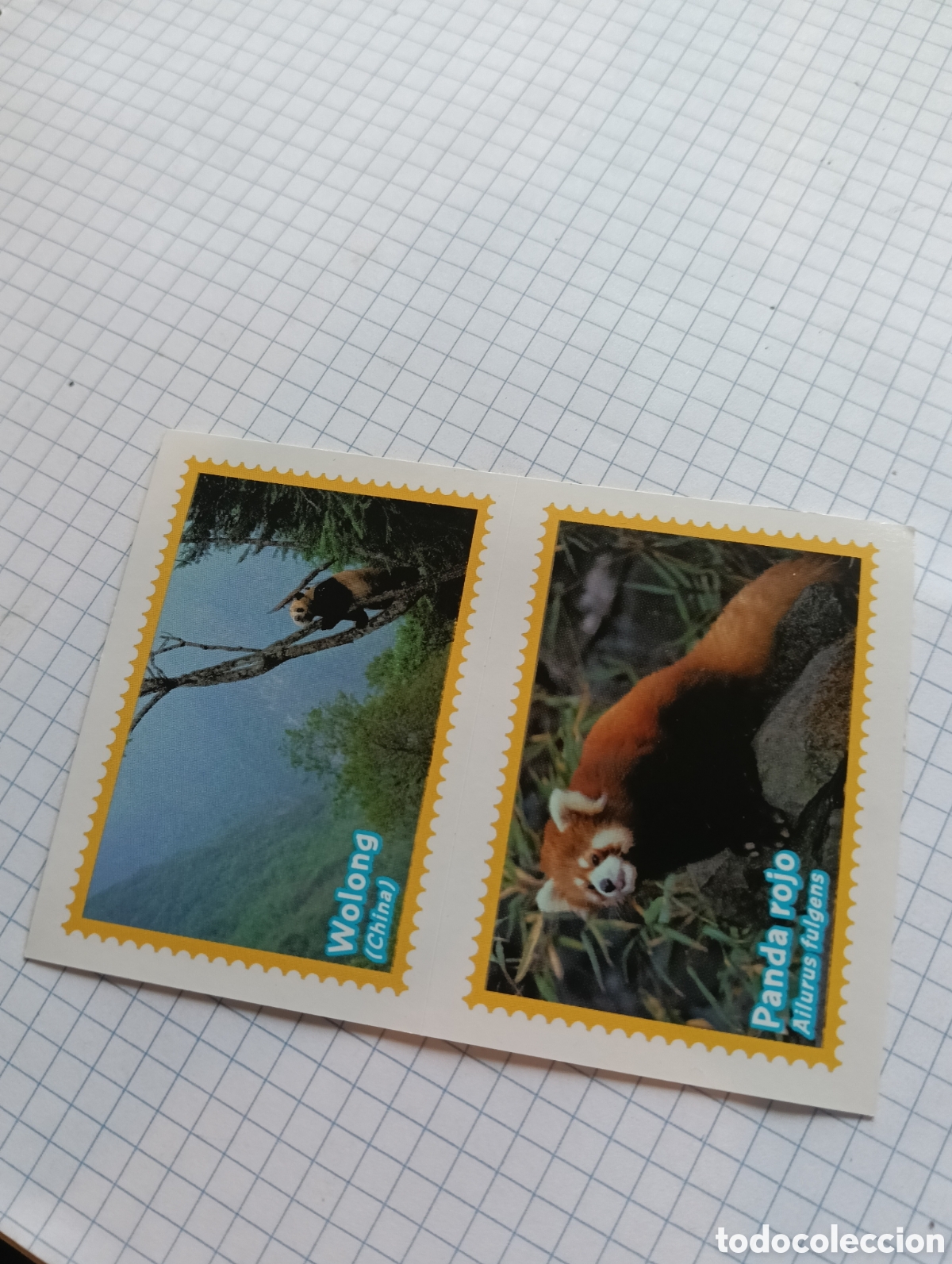Coleccionismo Cromos antiguos: Cromo 497A-B El gran Album del mundo animal 2013 panini