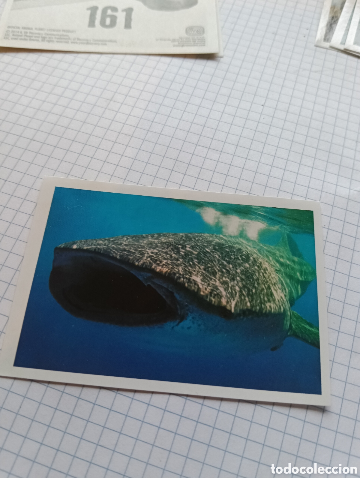 Coleccionismo Cromos antiguos: Cromo 167 Animal Planet 2014 Giromax