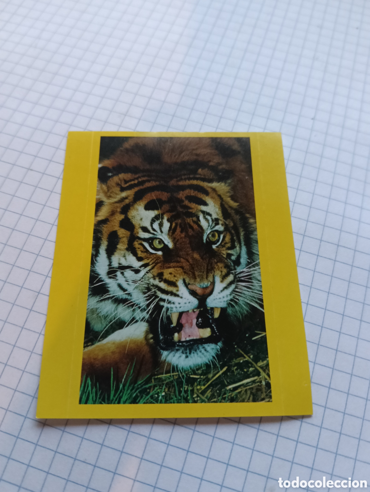 Collectable Antique Stickers: Cromo 161 Wild Oltrenatura 2012