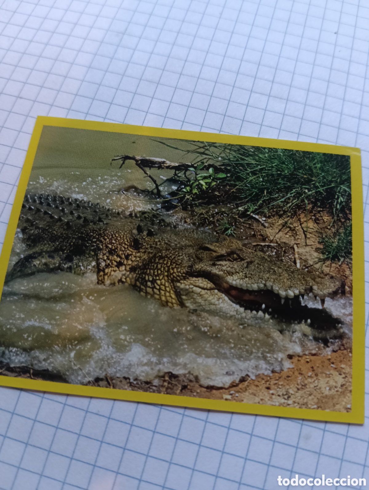 Collectable Antique Stickers: Cromo 160 Wild Oltrenatura 2012