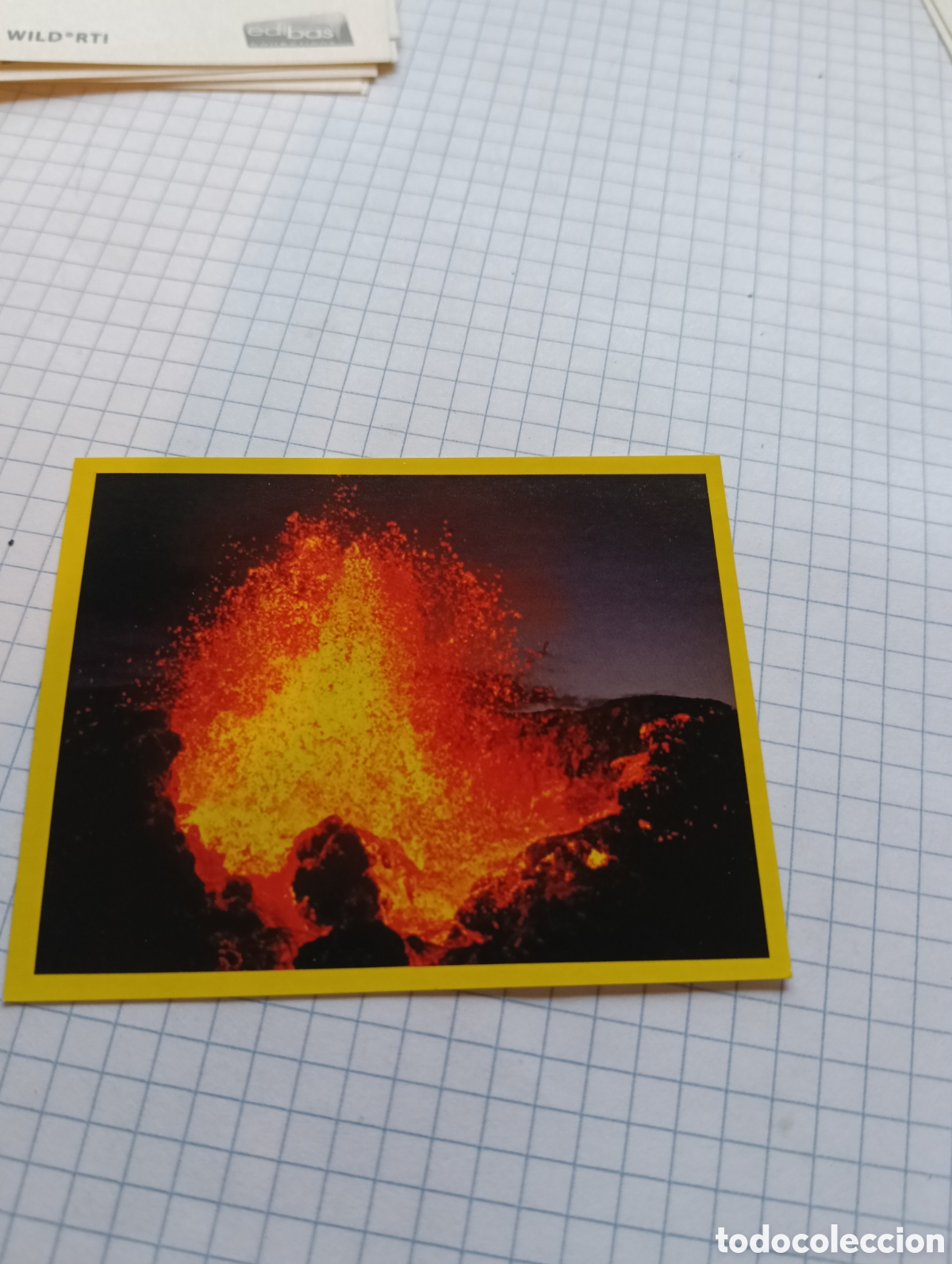 Coleccionismo Cromos antiguos: Cromo 87 Wild Oltrenatura 2012