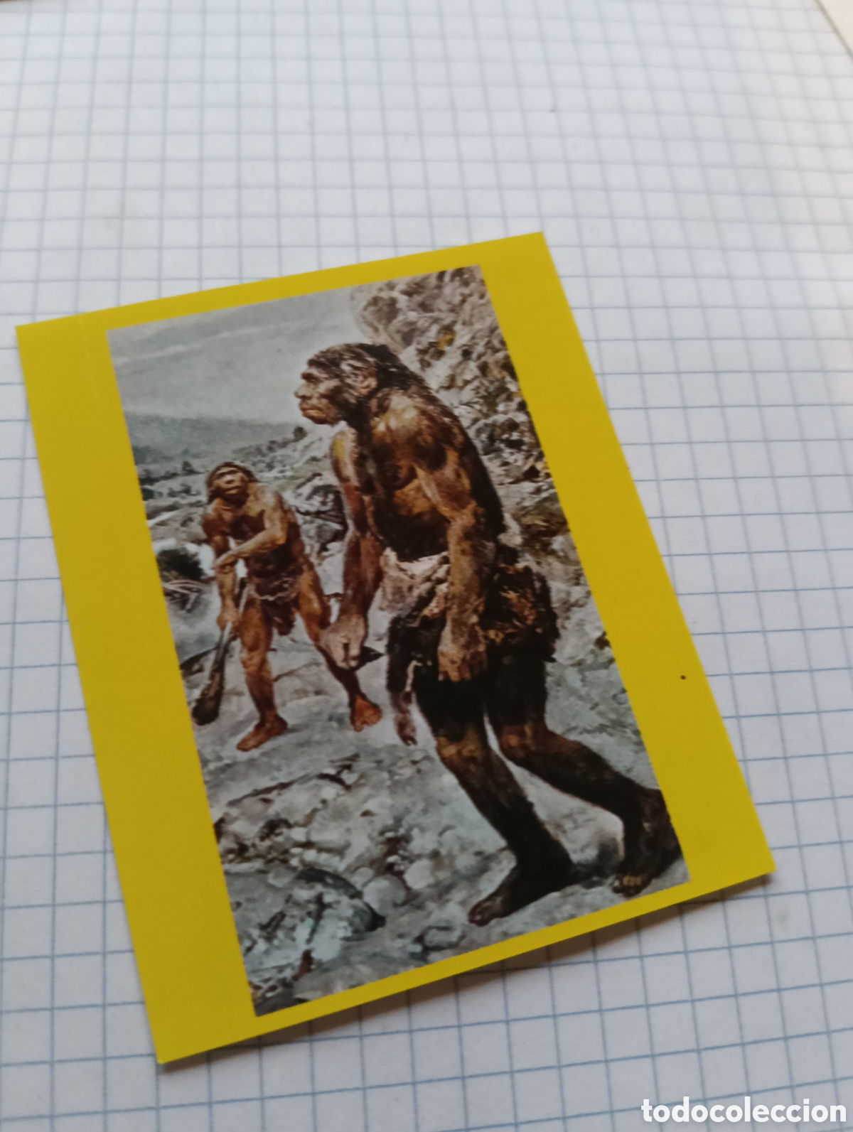 Collezionismo Figurine antiche: Cromo 62 Wild Oltrenatura 2012