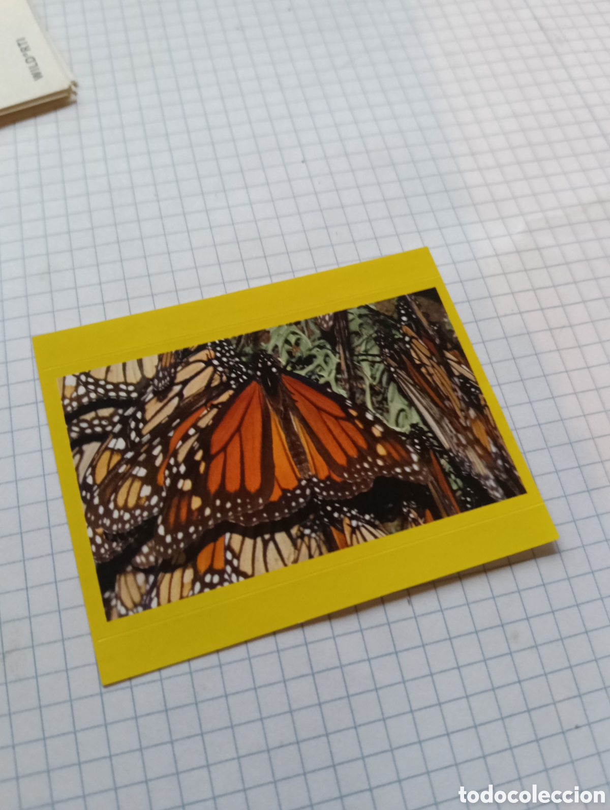 Collectable Antique Stickers: Cromo 49 Wild Oltrenatura 2012