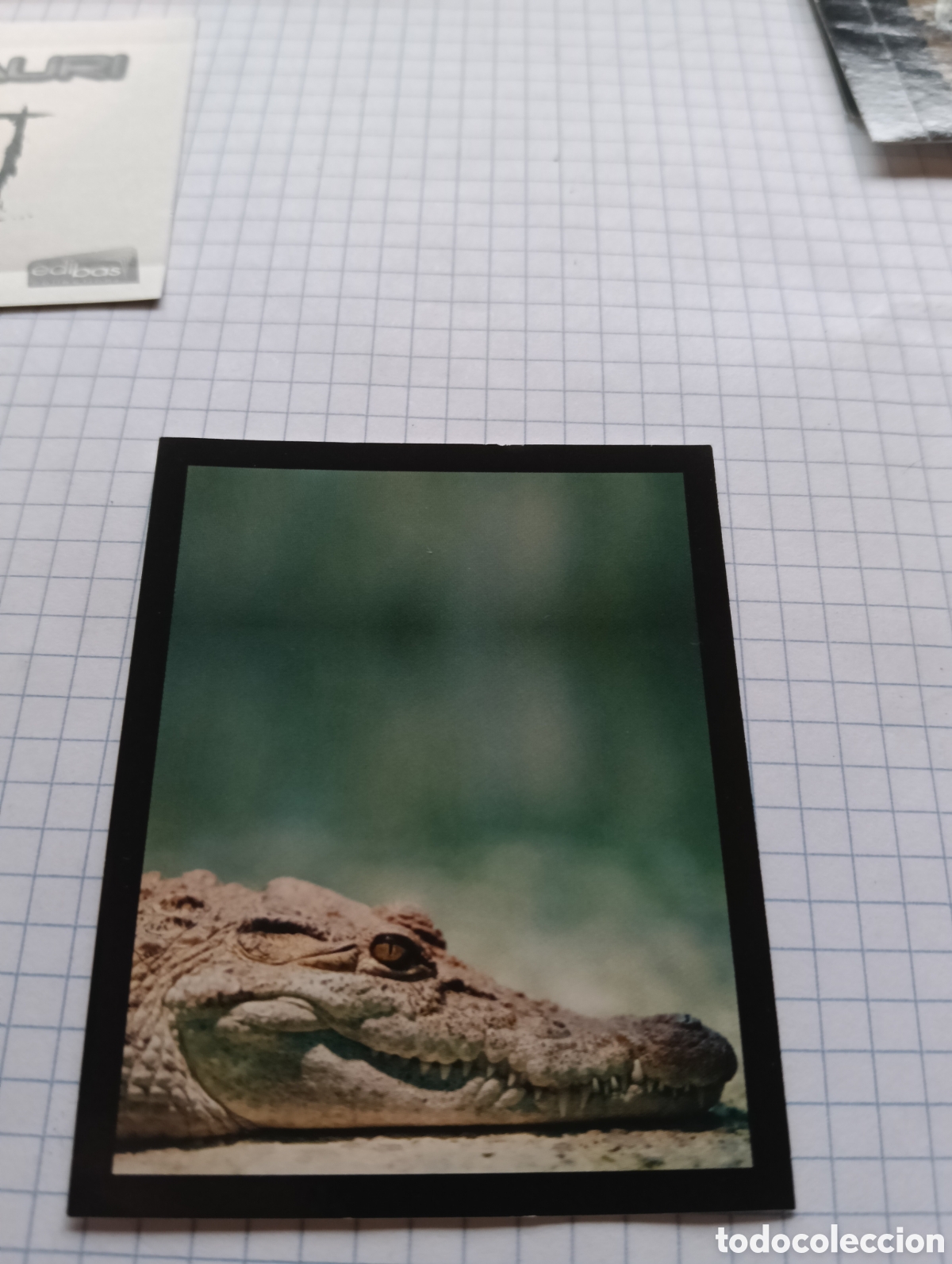 Collectable Antique Stickers: Cromo 165 Dinosauri Edibas 2013