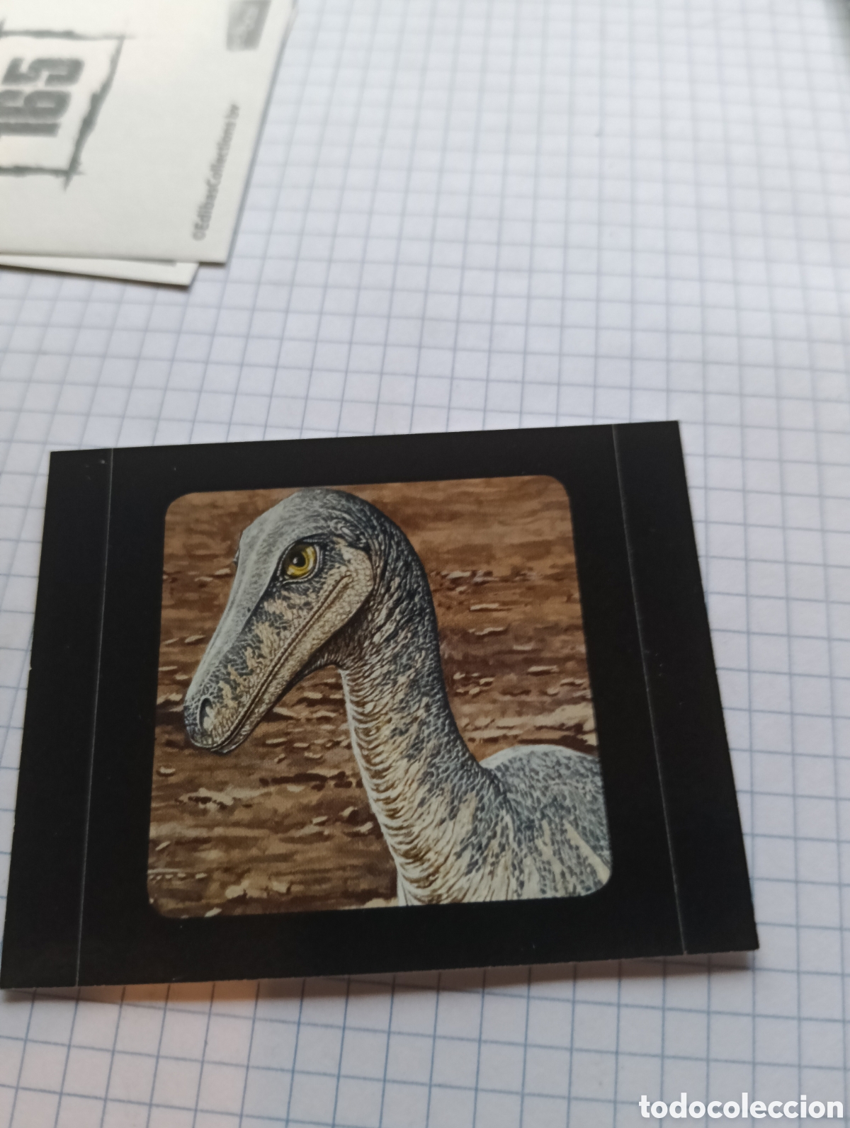 Collectable Antique Stickers: Cromo 142 Dinosauri Edibas 2012
