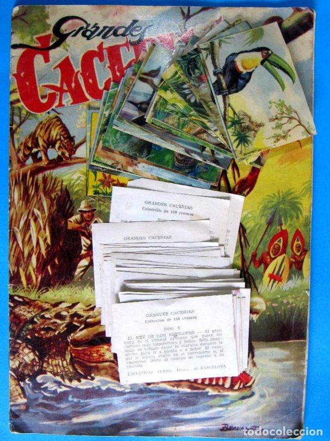 Coleccionismo cromos antiguos: LOTE DE CROMOS CROMOS SUELTOS; 0,80 &euro;. GRANDES CACERIAS. EDITORIAL FERMA.