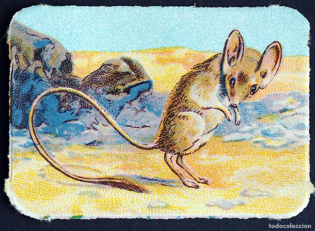 Coleccionismo Cromos antiguos: CROMO EN RELIEVE: CHOCOLATES R. CABEZON. CARABANCHEL BAJO. MADRID