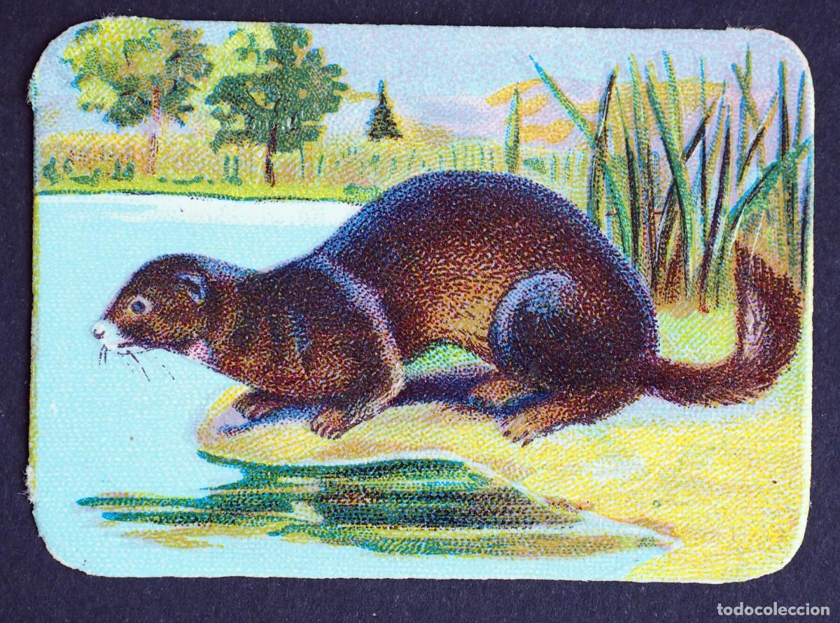 Coleccionismo Cromos antiguos: ANTIGUO CROMO EN RELIEVE: CHOCOLATES R. CABEZON. CARABANCHEL BAJO. MADRID