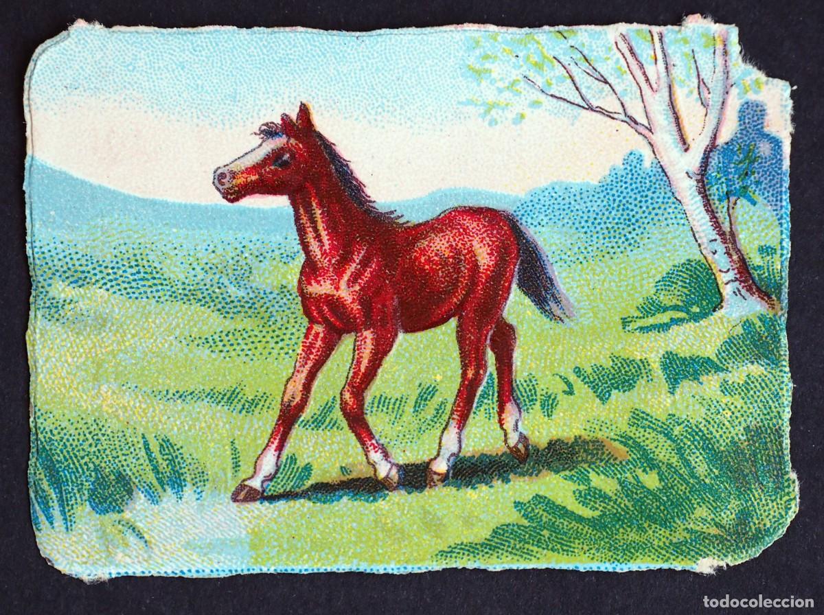 Coleccionismo Cromos antiguos: CROMO EN RELIEVE: CHOCOLATES R. CABEZON. CARABANCHEL BAJO. MADRID