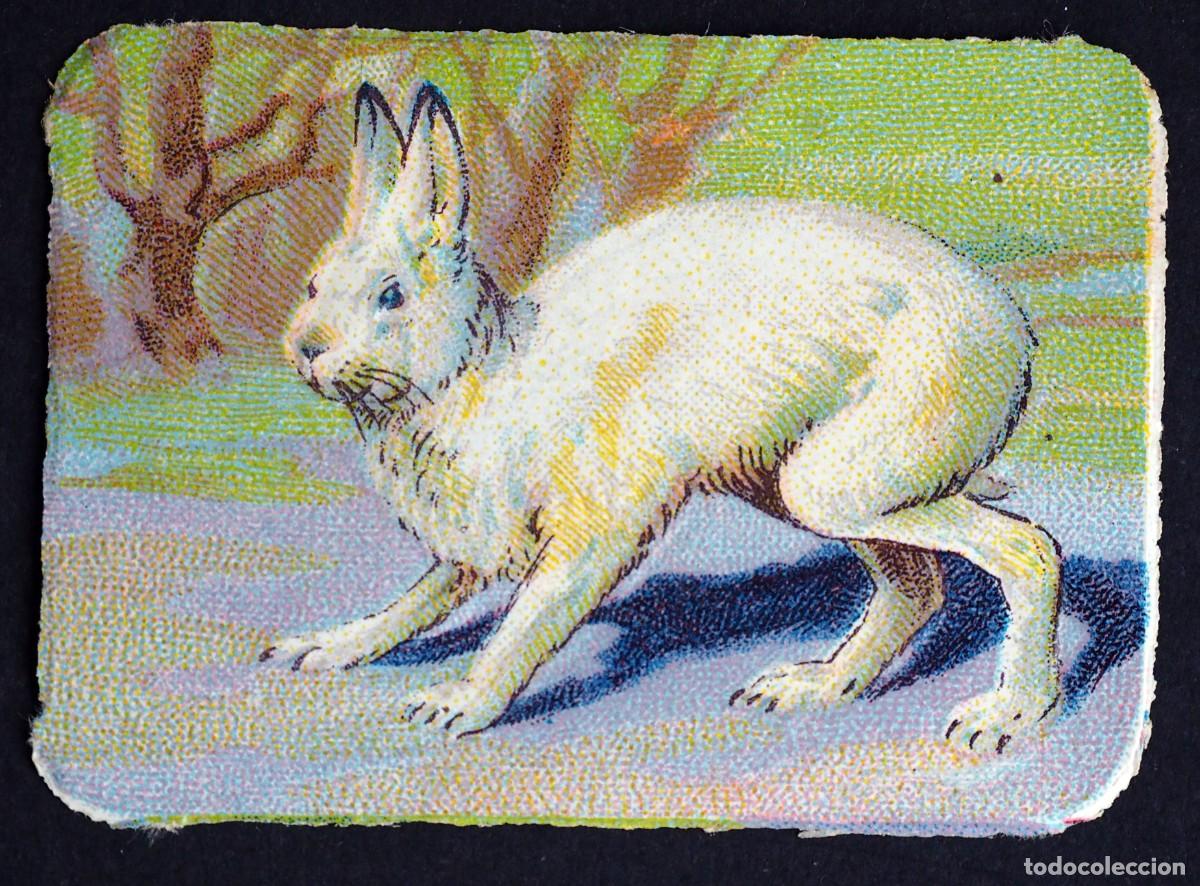 Coleccionismo Cromos antiguos: ANTIGUO CROMO EN RELIEVE: CHOCOLATES R. CABEZON. CARABANCHEL BAJO. MADRID