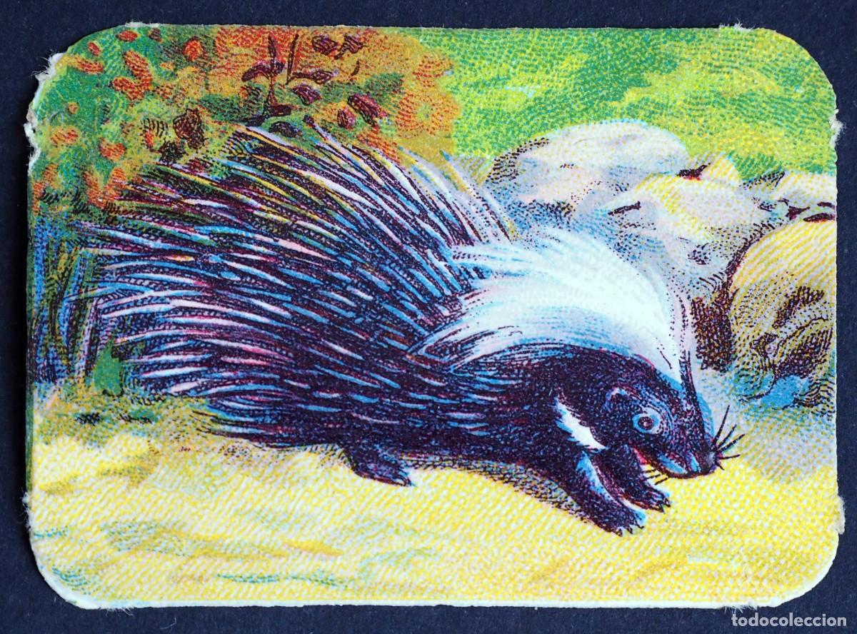 Coleccionismo Cromos antiguos: ANTIGUO CROMO EN RELIEVE: CHOCOLATES R. CABEZON. CARABANCHEL BAJO. MADRID