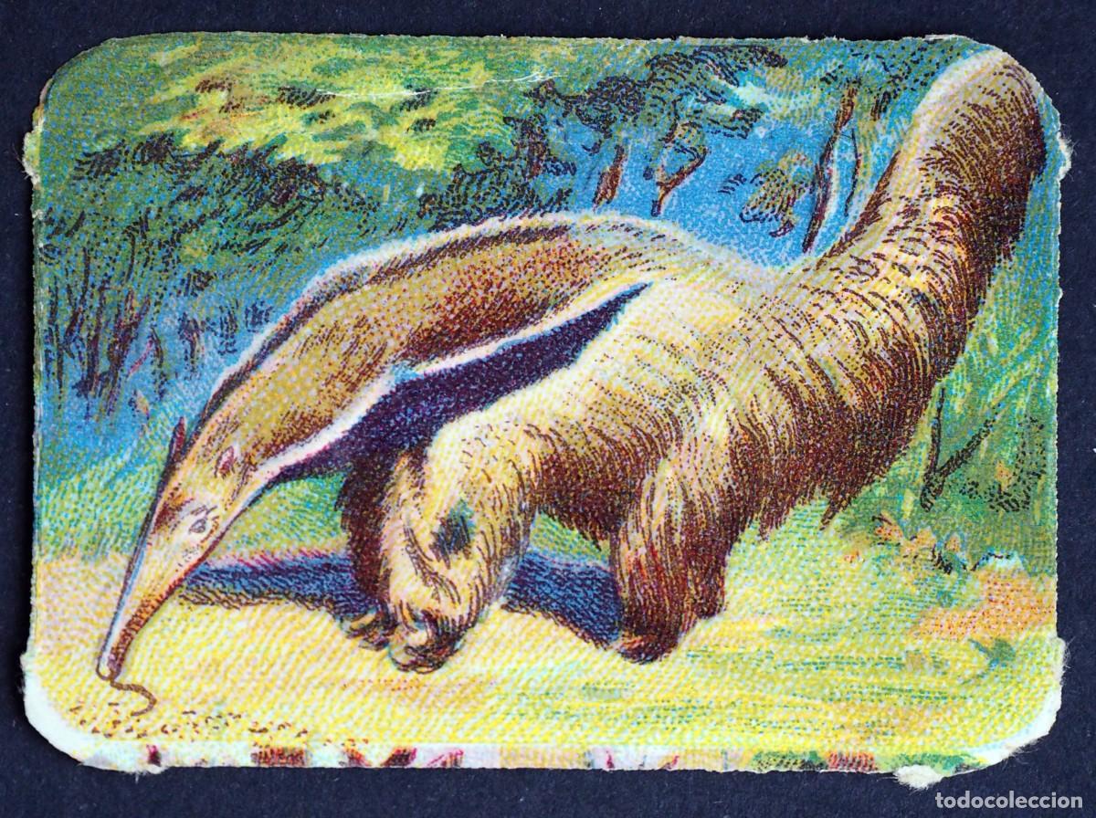 Coleccionismo Cromos antiguos: ANTIGUO CROMO EN RELIEVE: CHOCOLATES R. CABEZON. CARABANCHEL BAJO. MADRID