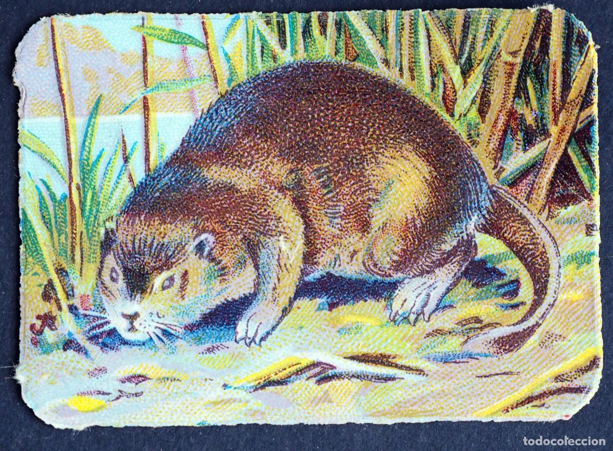 Coleccionismo Cromos antiguos: ANTIGUO CROMO EN RELIEVE: CHOCOLATES R. CABEZON. CARABANCHEL BAJO. MADRID