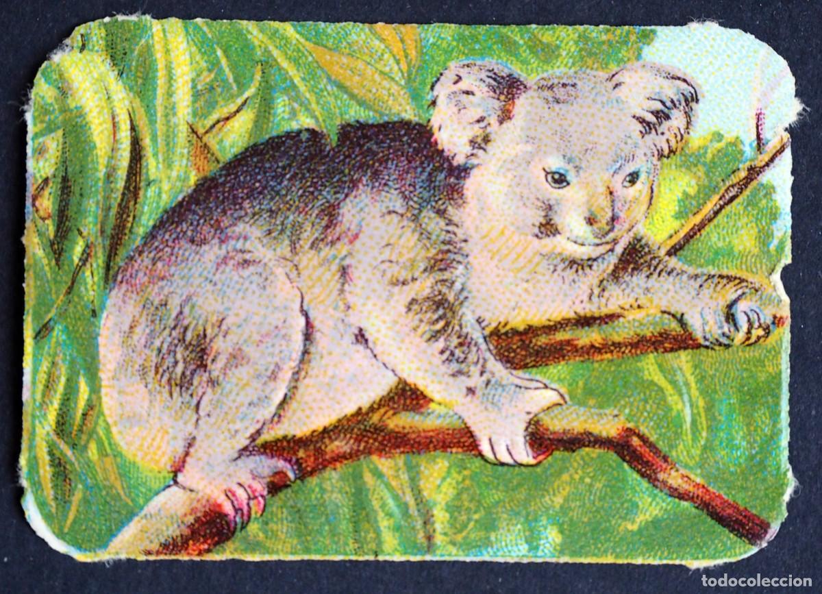 Coleccionismo Cromos antiguos: ANTIGUO CROMO EN RELIEVE: CHOCOLATES R. CABEZON. CARABANCHEL BAJO. MADRID
