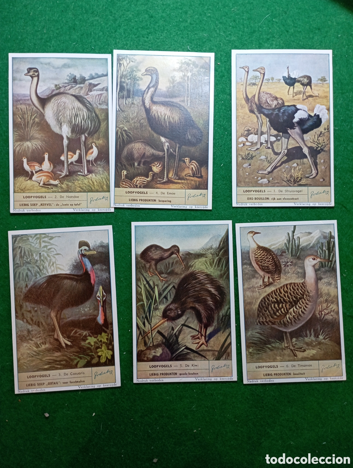 Coleccionismo Cromos antiguos: Serie completa cromo Liebig. Sanguinetti 1580