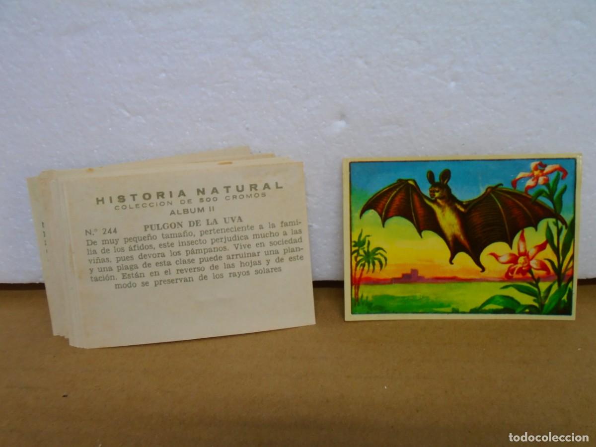 Collezionismo Figurine antiche: LOTE DE 41 CROMOS NUNCA PEGADOS DE LA COLECCION &rdquo;HISTORIA NATURAL II&rdquo; BRUGUERA, 1958.