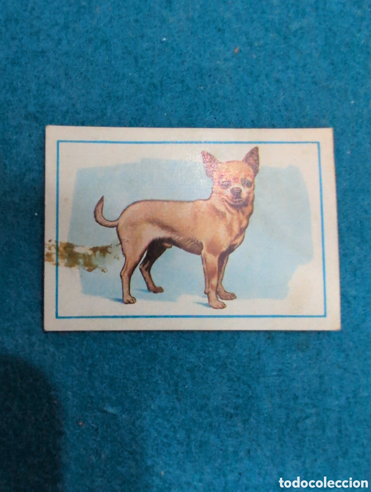 Coleccionismo Cromos antiguos: Cromo 30 colecci&oacute;n Perros fher