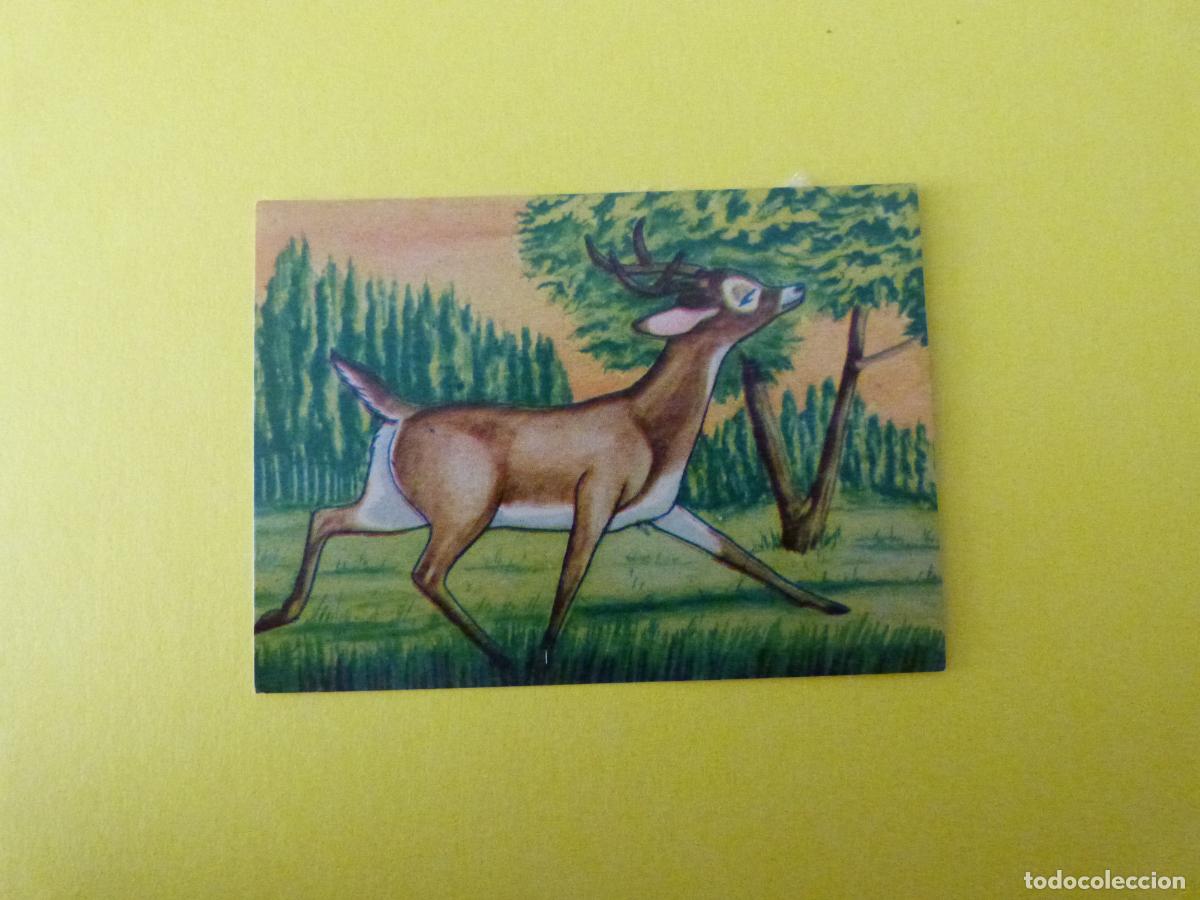 Coleccionismo Cromos antiguos: CROMO PAPEL BAMBI DESPEGADO N&ordm; 156 A&Ntilde;O 1961 ALBUM BAMBI FHER