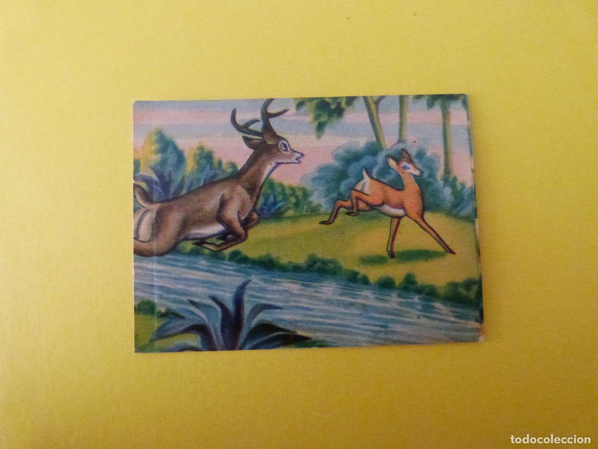 Coleccionismo Cromos antiguos: CROMO PAPEL BAMBI DESPEGADO N&ordm; 160 A&Ntilde;O 1961 ALBUM BAMBI FHER