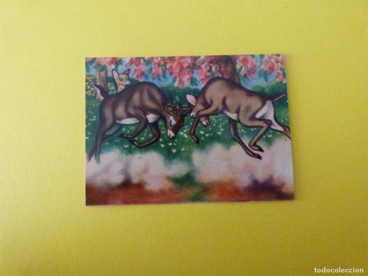 Coleccionismo Cromos antiguos: CROMO PAPEL BAMBI DESPEGADO N&ordm; 164 A&Ntilde;O 1961 ALBUM BAMBI FHER