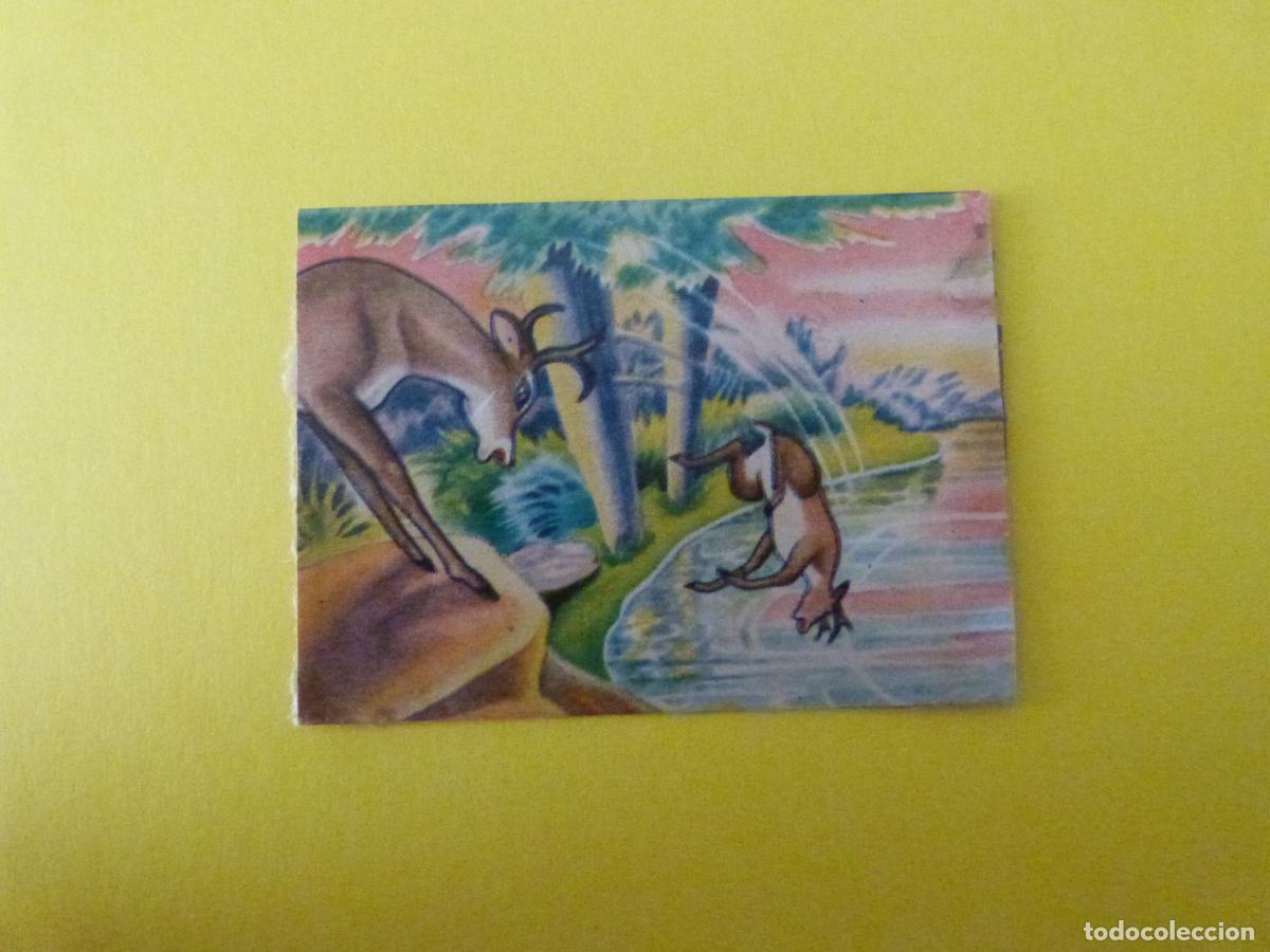 Coleccionismo Cromos antiguos: CROMO PAPEL BAMBI DESPEGADO N&ordm; 169 A&Ntilde;O 1961 ALBUM BAMBI FHER