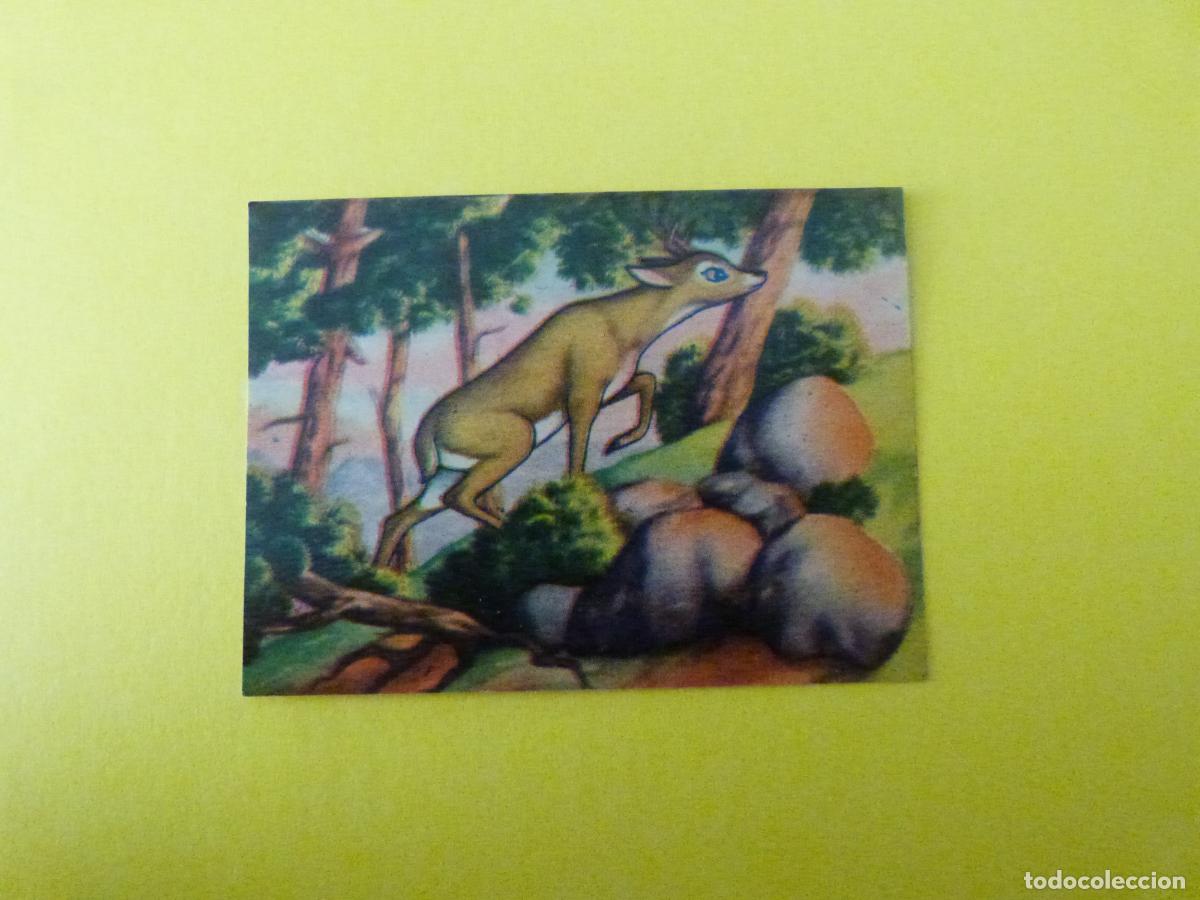 Coleccionismo Cromos antiguos: CROMO PAPEL BAMBI DESPEGADO N&ordm; 174 A&Ntilde;O 1961 ALBUM BAMBI FHER