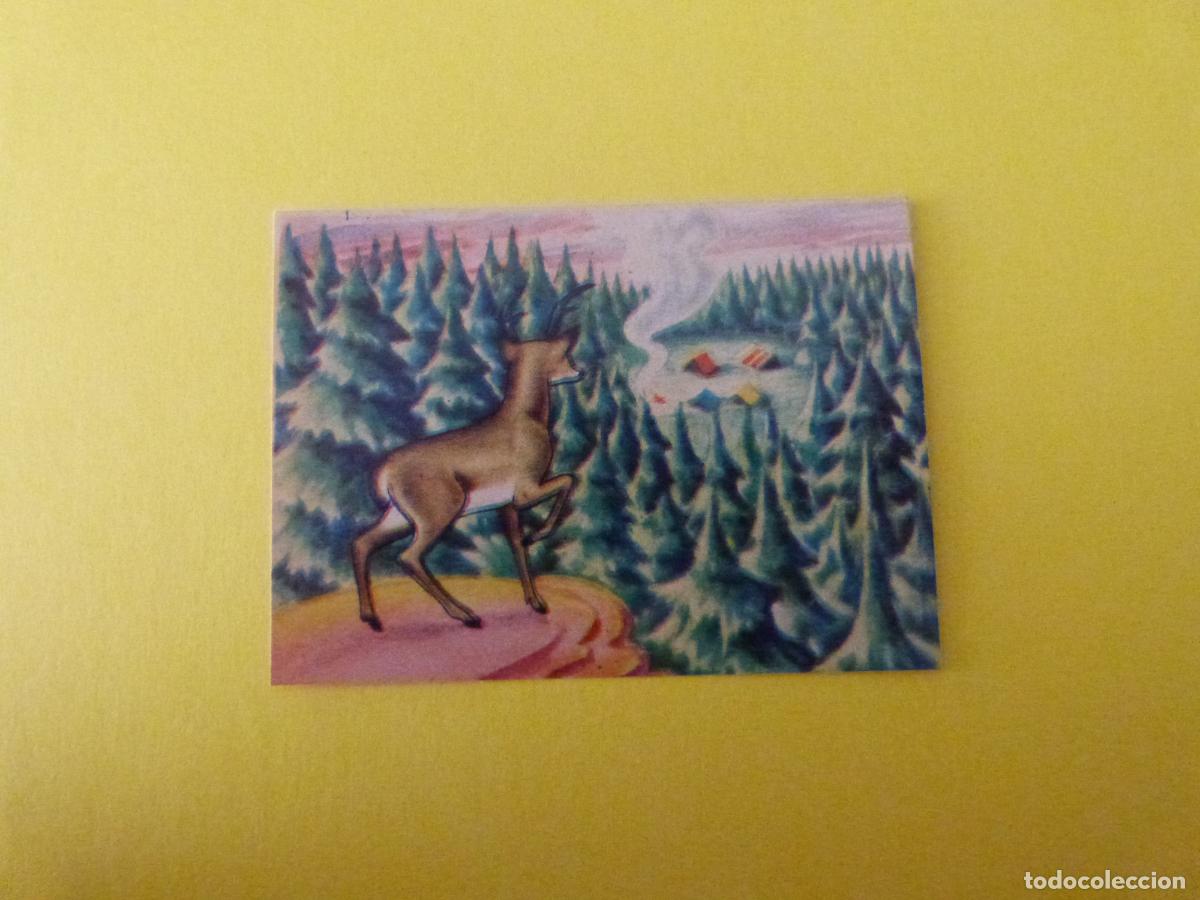 Coleccionismo Cromos antiguos: CROMO PAPEL BAMBI DESPEGADO N&ordm; 175 A&Ntilde;O 1961 ALBUM BAMBI FHER